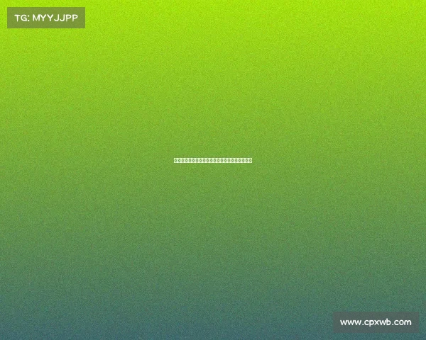 足球俱乐部转会资金投入规划与管理策略研究方案